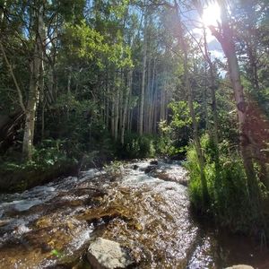 Meet your Posher, Alaina